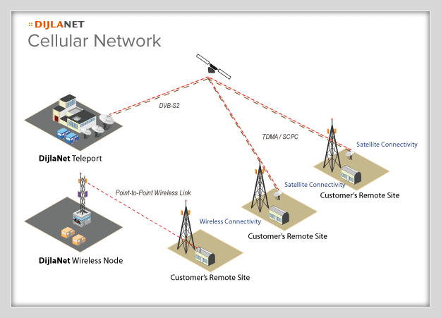 Cellular Network Diagram